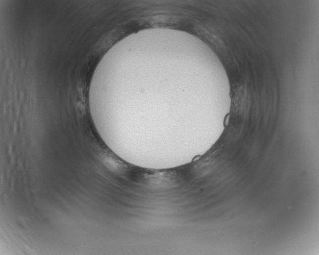 X0000074030430200609181931