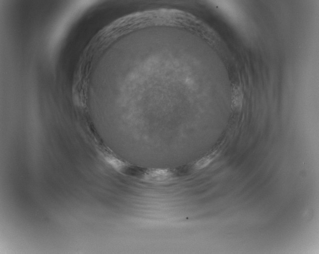 X0000074030431200609181931