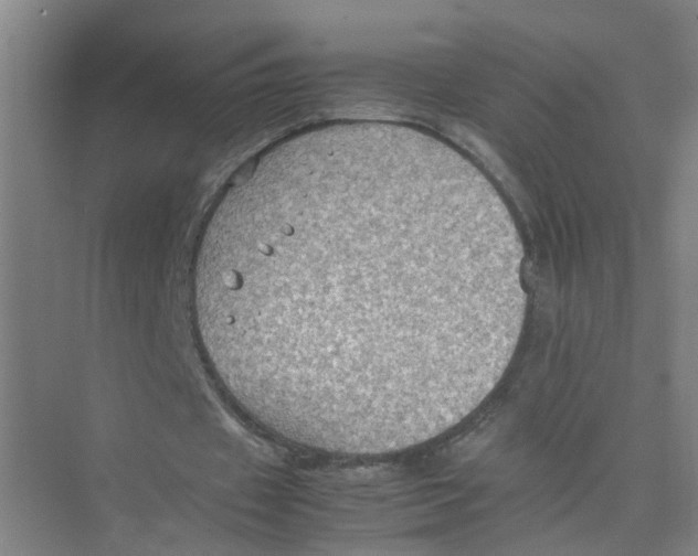 X0000074030433200609181930