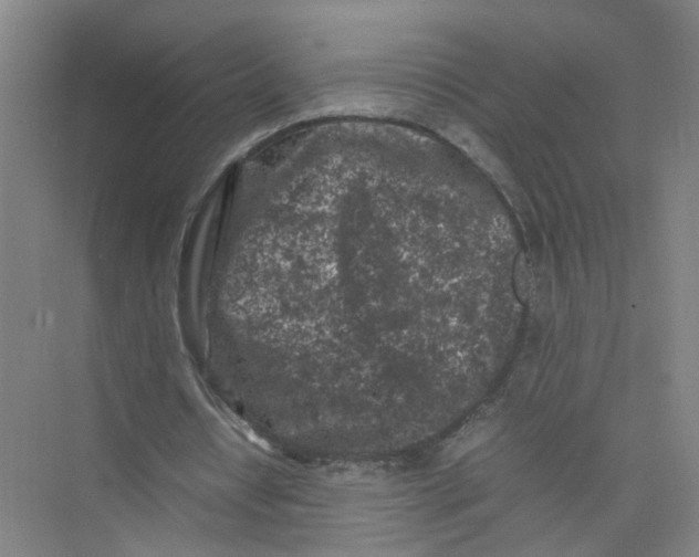 X0000074030434200609181931