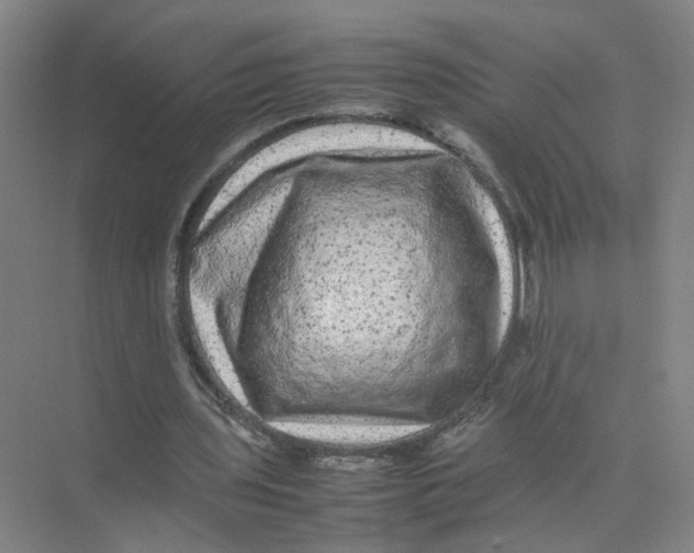 X0000074030435200609181931