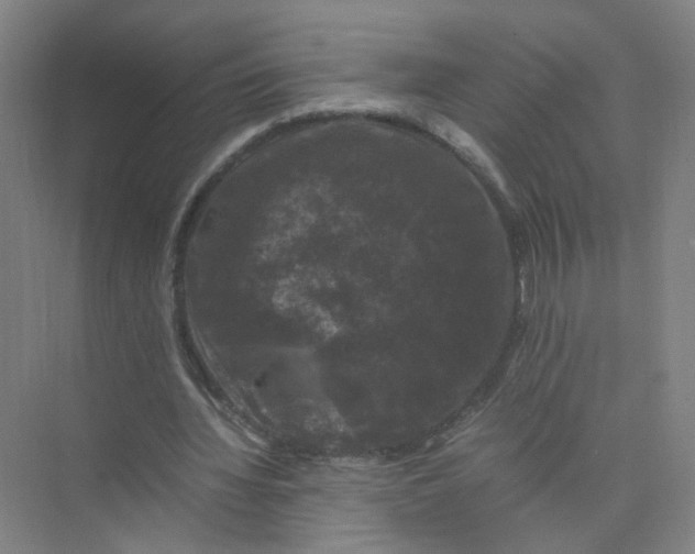 X0000074030436200609181931