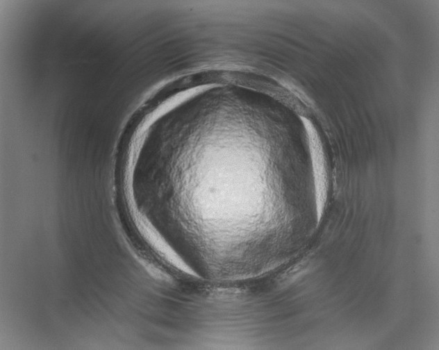 X0000074030438200609181931