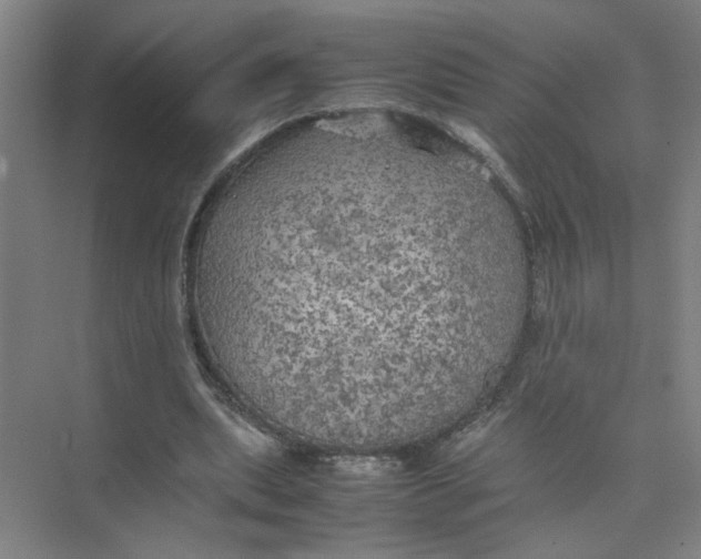 X0000074030439200609181931