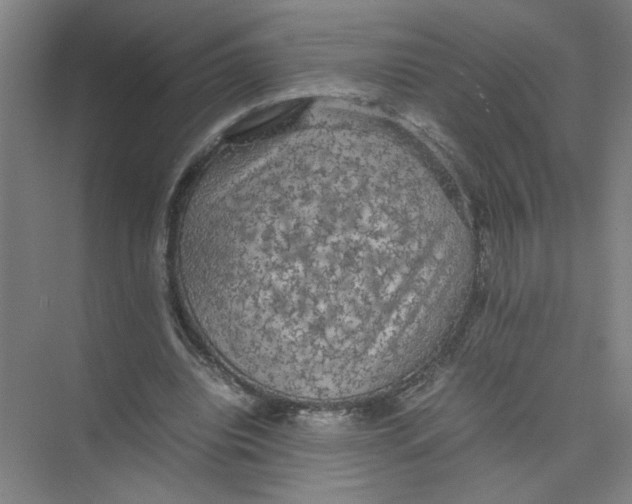 X0000074030440200609181931