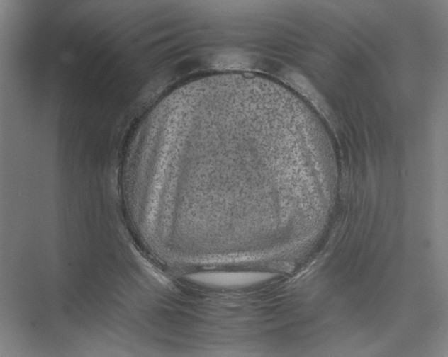 X0000074030441200609181931