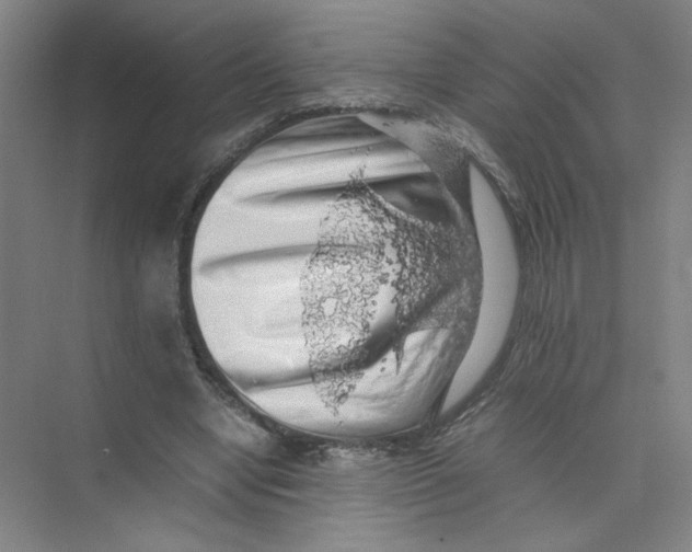 X0000074030442200609181931