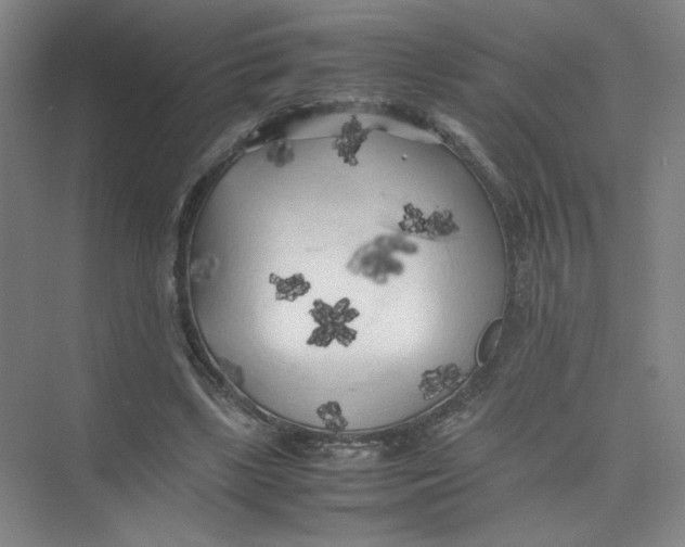 X0000074030443200609181931