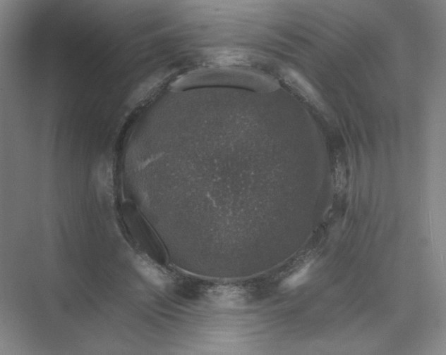 X0000074030444200609181931