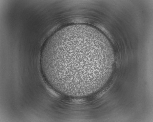 X0000074030445200609181931