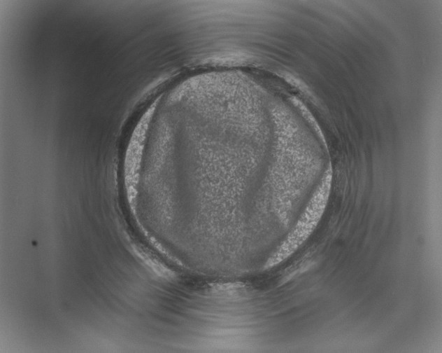 X0000074030446200609181931