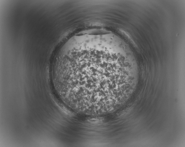 X0000074030447200609181931