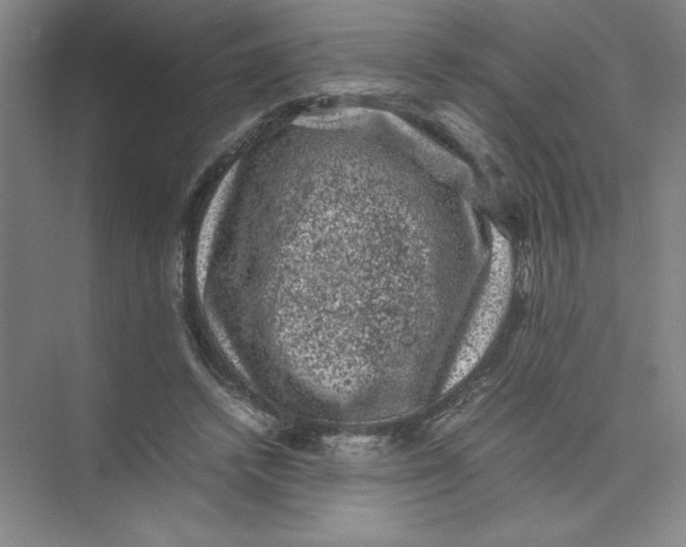 X0000074030448200609181931