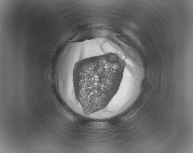 X0000074030449200609181931