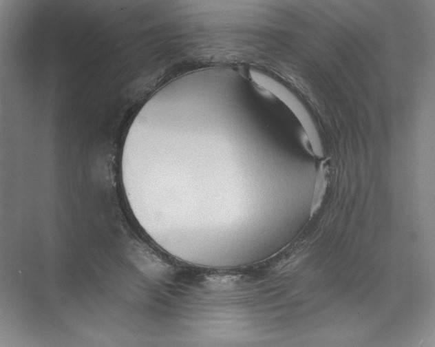 X0000074030450200609181931