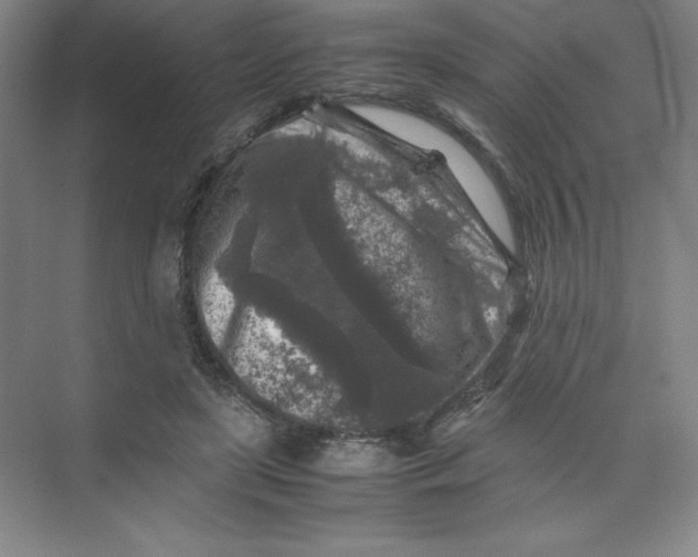 X0000074030451200609181931