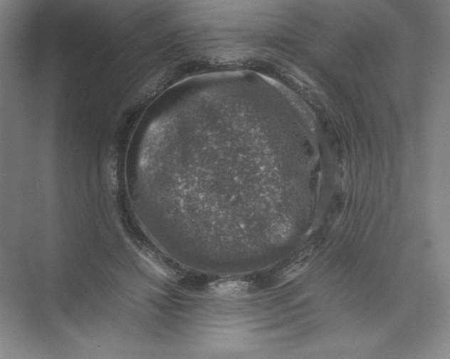 X0000074030452200609181931