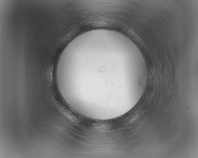 X0000074030454200609181931