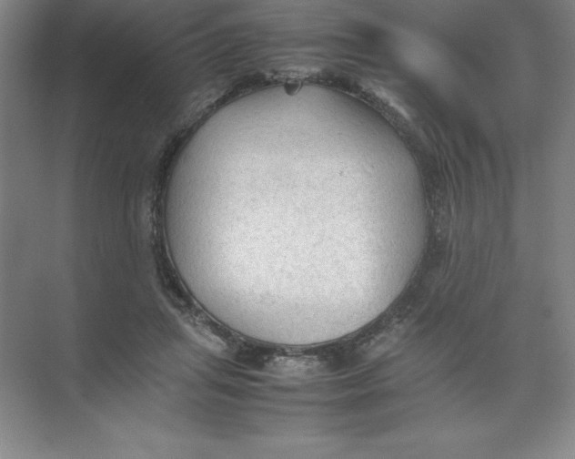 X0000074030455200609181931