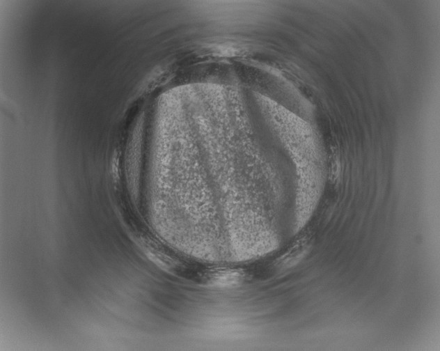 X0000074030456200609181931