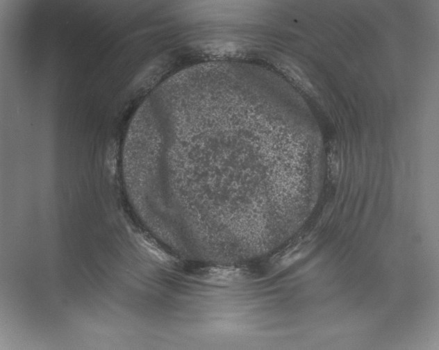 X0000074030458200609181931