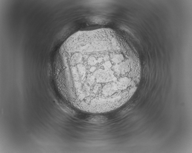 X0000074030459200609181931