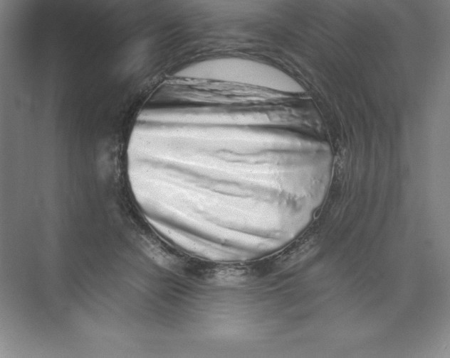 X0000074030462200609181931