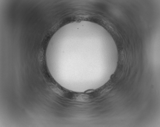 X0000074030463200609181931