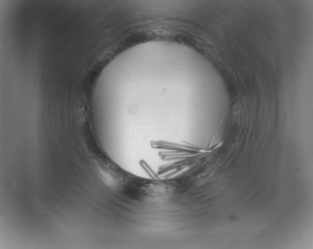 X0000074030464200609181931