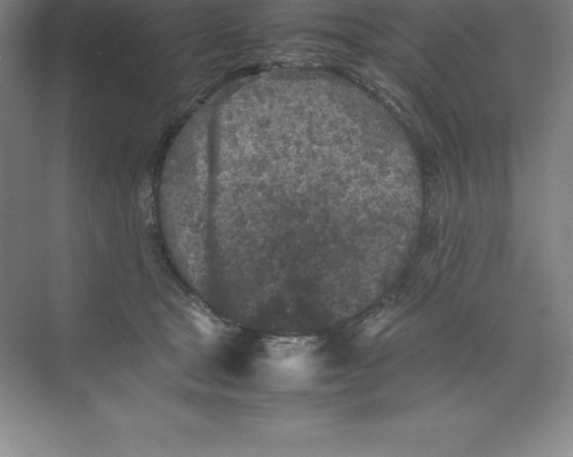 X0000074030465200609181931