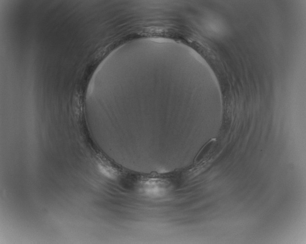 X0000074030467200609181931