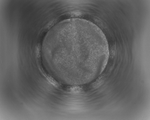 X0000074030468200609181931