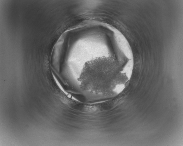 X0000074030469200609181931