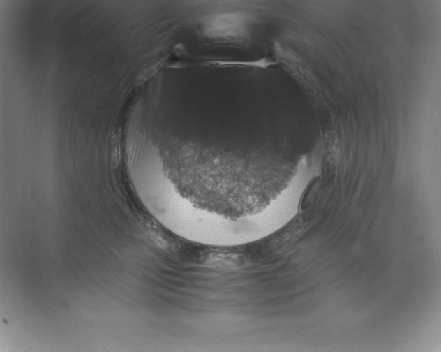 X0000074030471200609181931