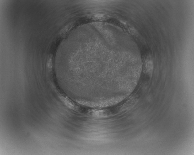 X0000074030472200609181931