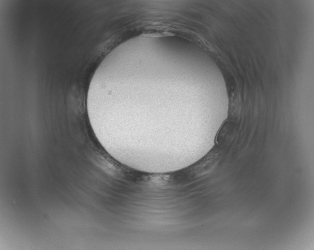 X0000074030474200609181931