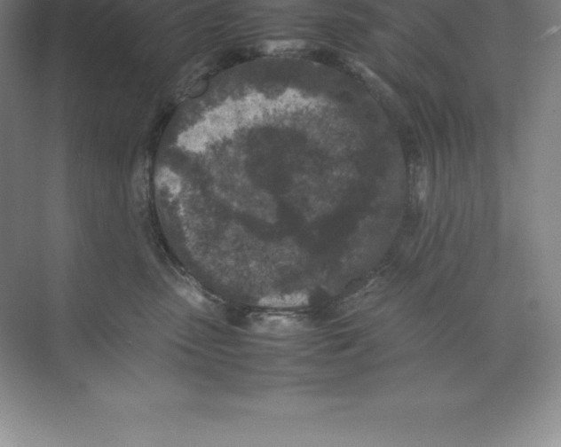 X0000074030475200609181931