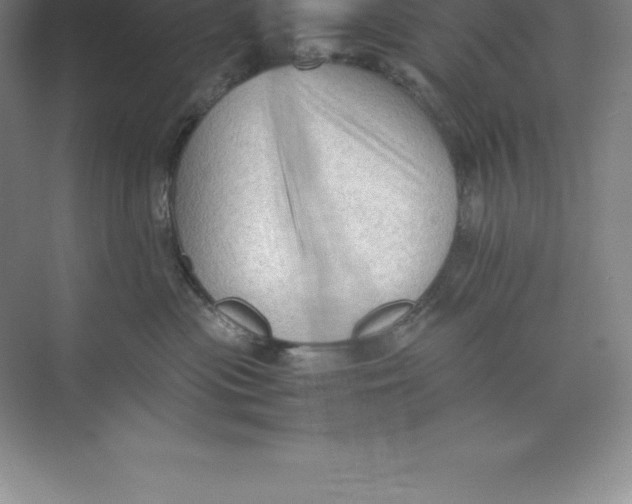 X0000074030477200609181931