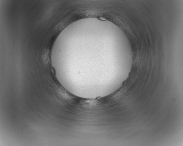 X0000074030478200609181931