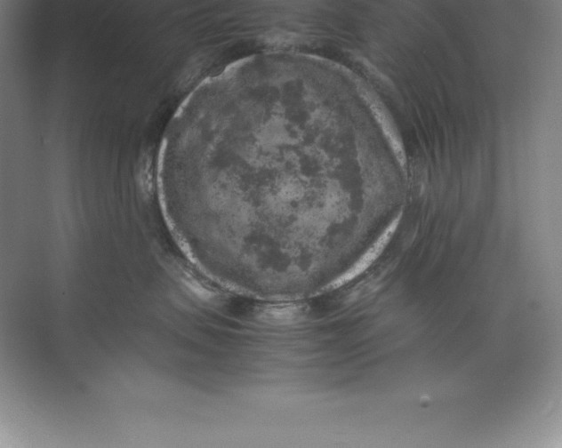 X0000074030479200609181931