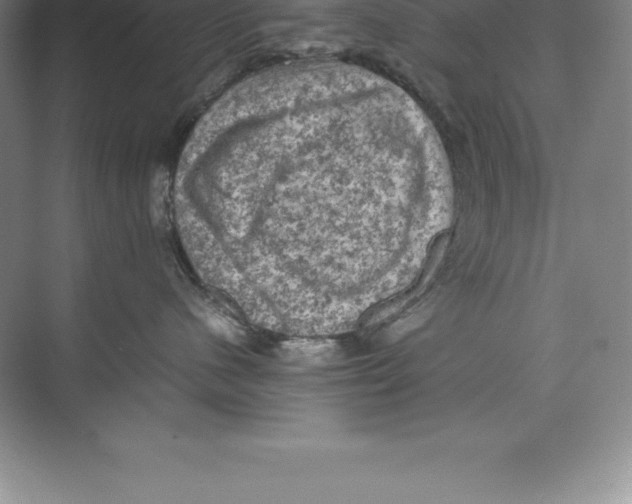 X0000074030480200609181931