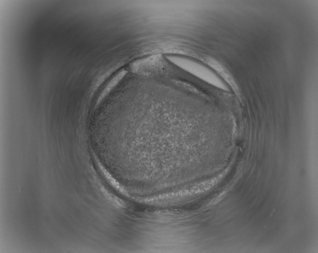 X0000074030481200609181930