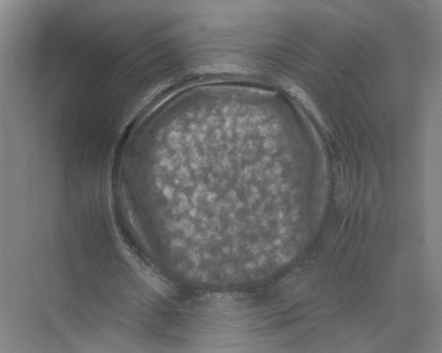 X0000074030482200609181930