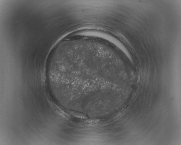 X0000074030484200609181930