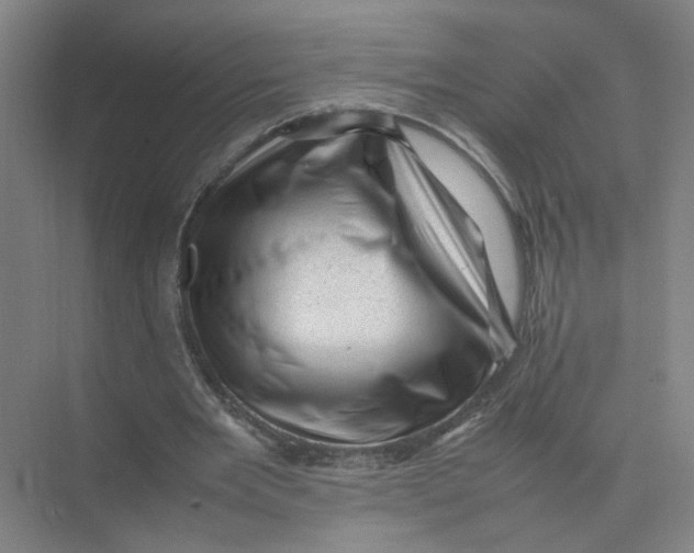 X0000074030485200609181930