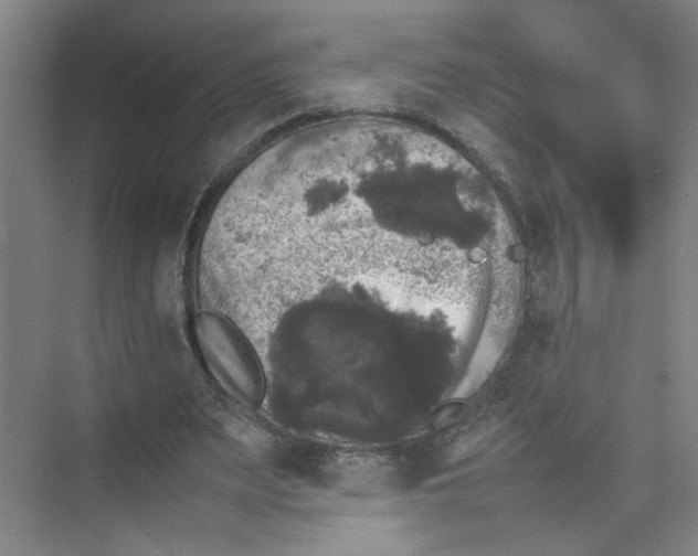 X0000074030487200609181930