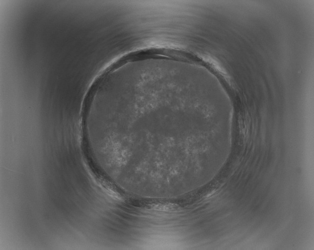 X0000074030488200609181930