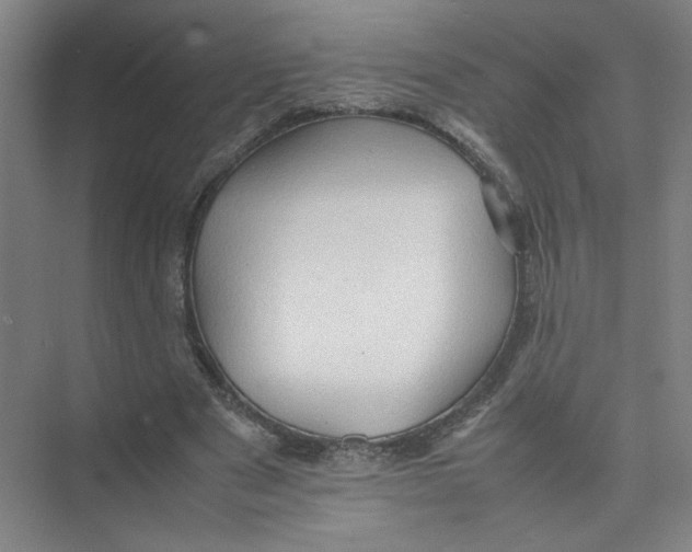 X0000074030489200609181930