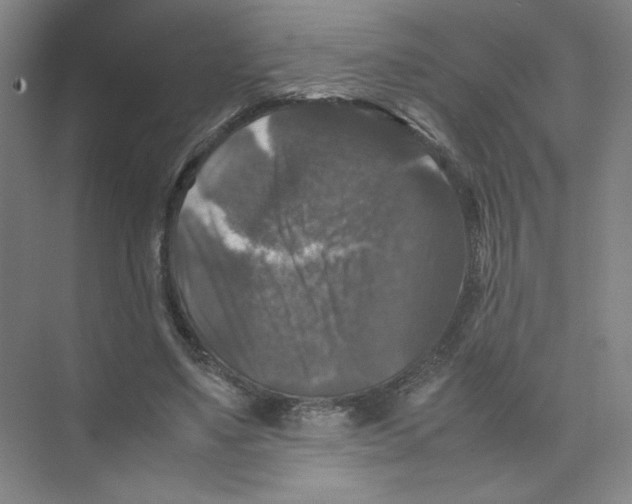 X0000074030491200609181930