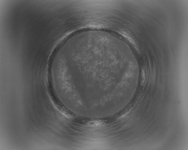 X0000074030492200609181930